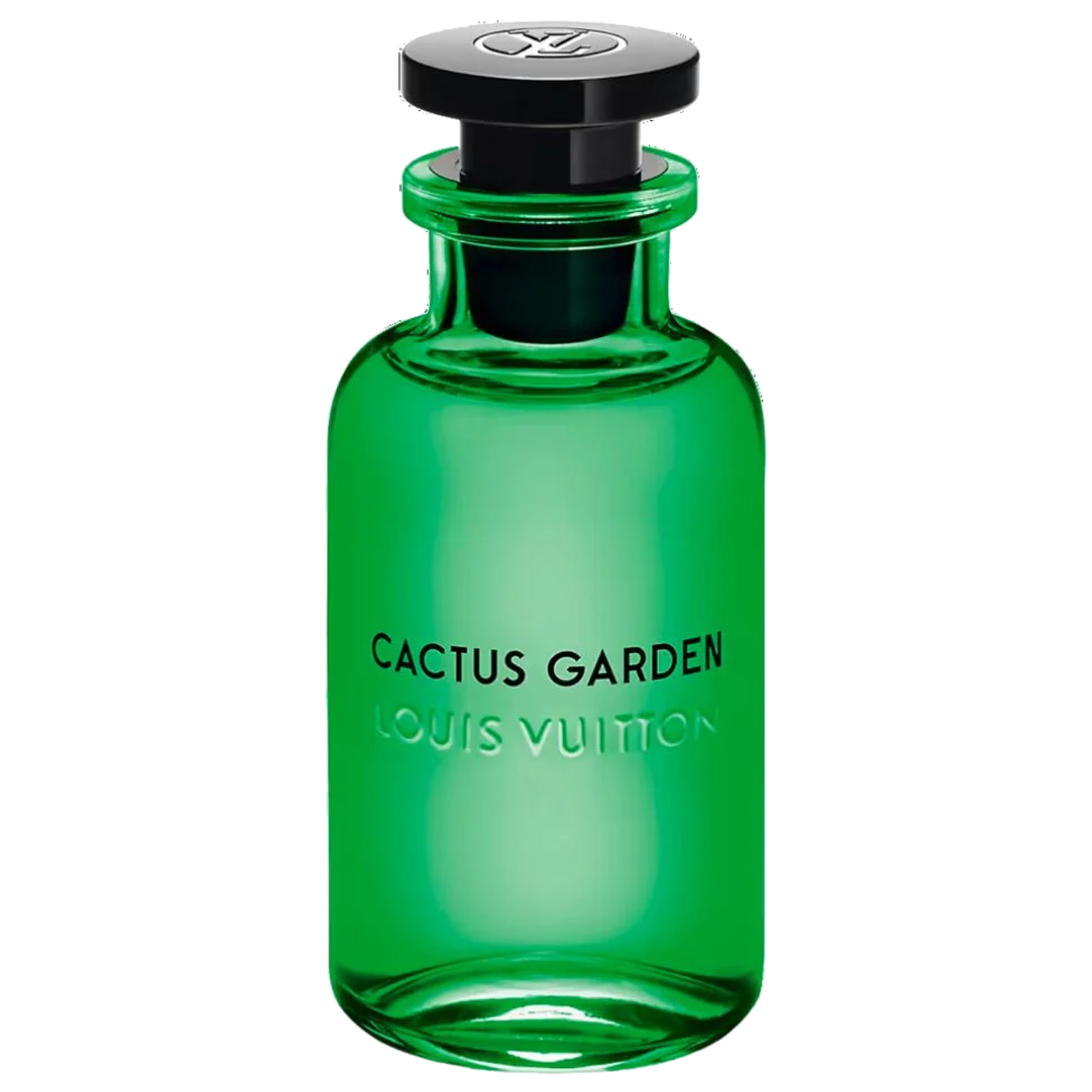 Cactus Garden
